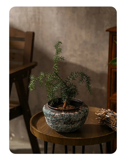 Retro Ceramic Vase Wabi Sabi Style Ikebana Flower Pots Table Decoration Flowers Arrangement Floral Vases Room Aesthetic Decor