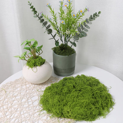 30/50/100G Green Artificial Plants Moss Grass for Home Room Decor Garden Decoration Mini Landscape Fake Flower Crafts Ornament