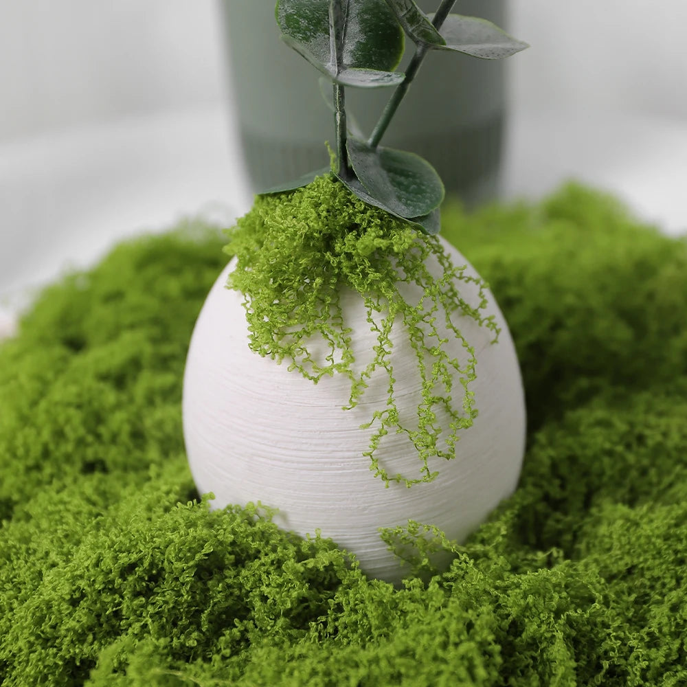 30/50/100G Green Artificial Plants Moss Grass for Home Room Decor Garden Decoration Mini Landscape Fake Flower Crafts Ornament