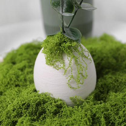 30/50/100G Green Artificial Plants Moss Grass for Home Room Decor Garden Decoration Mini Landscape Fake Flower Crafts Ornament