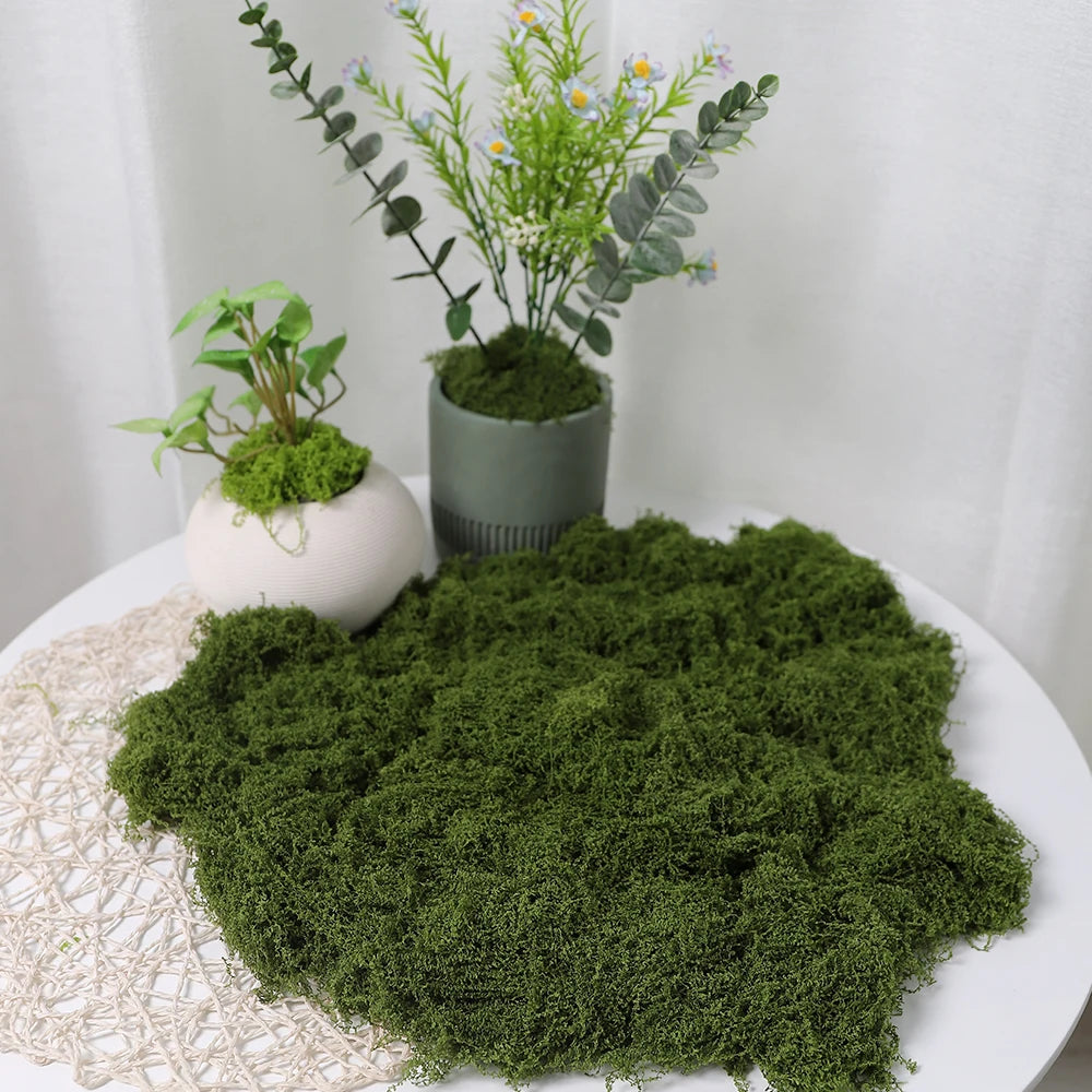 30/50/100G Green Artificial Plants Moss Grass for Home Room Decor Garden Decoration Mini Landscape Fake Flower Crafts Ornament