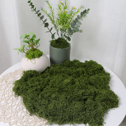 30/50/100G Green Artificial Plants Moss Grass for Home Room Decor Garden Decoration Mini Landscape Fake Flower Crafts Ornament