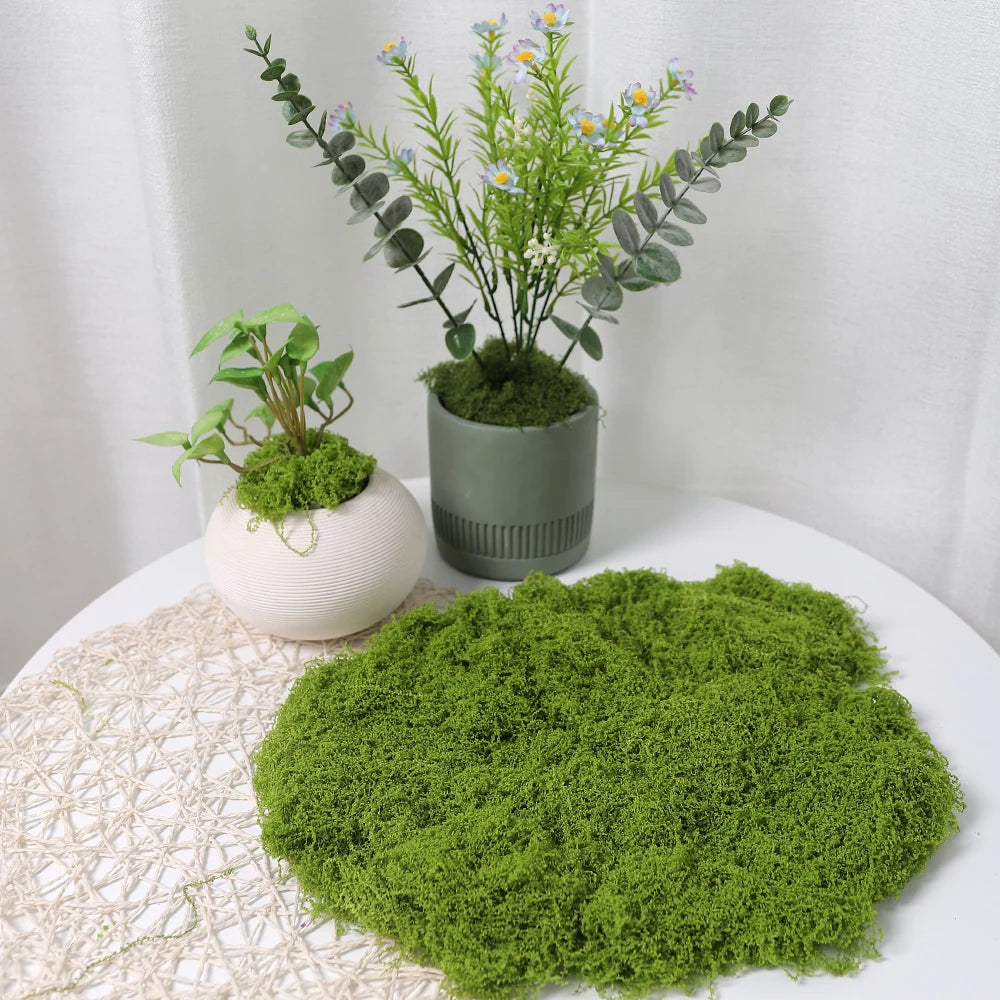 30/50/100G Green Artificial Plants Moss Grass for Home Room Decor Garden Decoration Mini Landscape Fake Flower Crafts Ornament