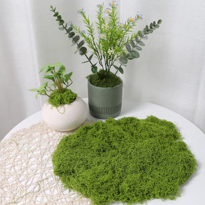 30/50/100G Green Artificial Plants Moss Grass for Home Room Decor Garden Decoration Mini Landscape Fake Flower Crafts Ornament