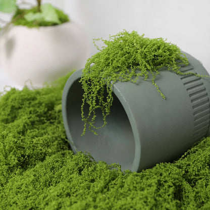 30/50/100G Green Artificial Plants Moss Grass for Home Room Decor Garden Decoration Mini Landscape Fake Flower Crafts Ornament