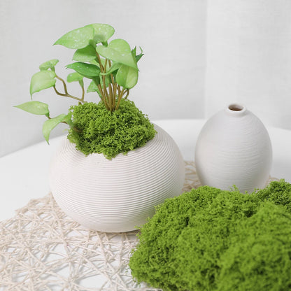 30/50/100G Green Artificial Plants Moss Grass for Home Room Decor Garden Decoration Mini Landscape Fake Flower Crafts Ornament