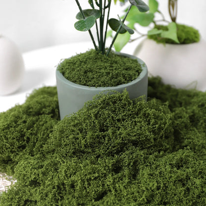 30/50/100G Green Artificial Plants Moss Grass for Home Room Decor Garden Decoration Mini Landscape Fake Flower Crafts Ornament