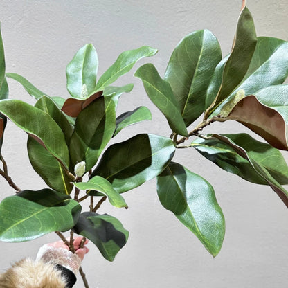 70CM Artificial Magnolia Leaves in Stock for Home Decoration White Bowls Flower Buds Leaf Shop Windows Magnolia Branches