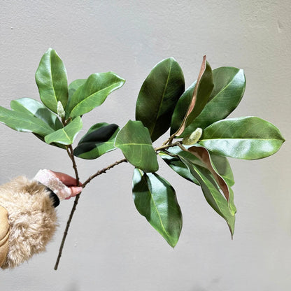70CM Artificial Magnolia Leaves in Stock for Home Decoration White Bowls Flower Buds Leaf Shop Windows Magnolia Branches