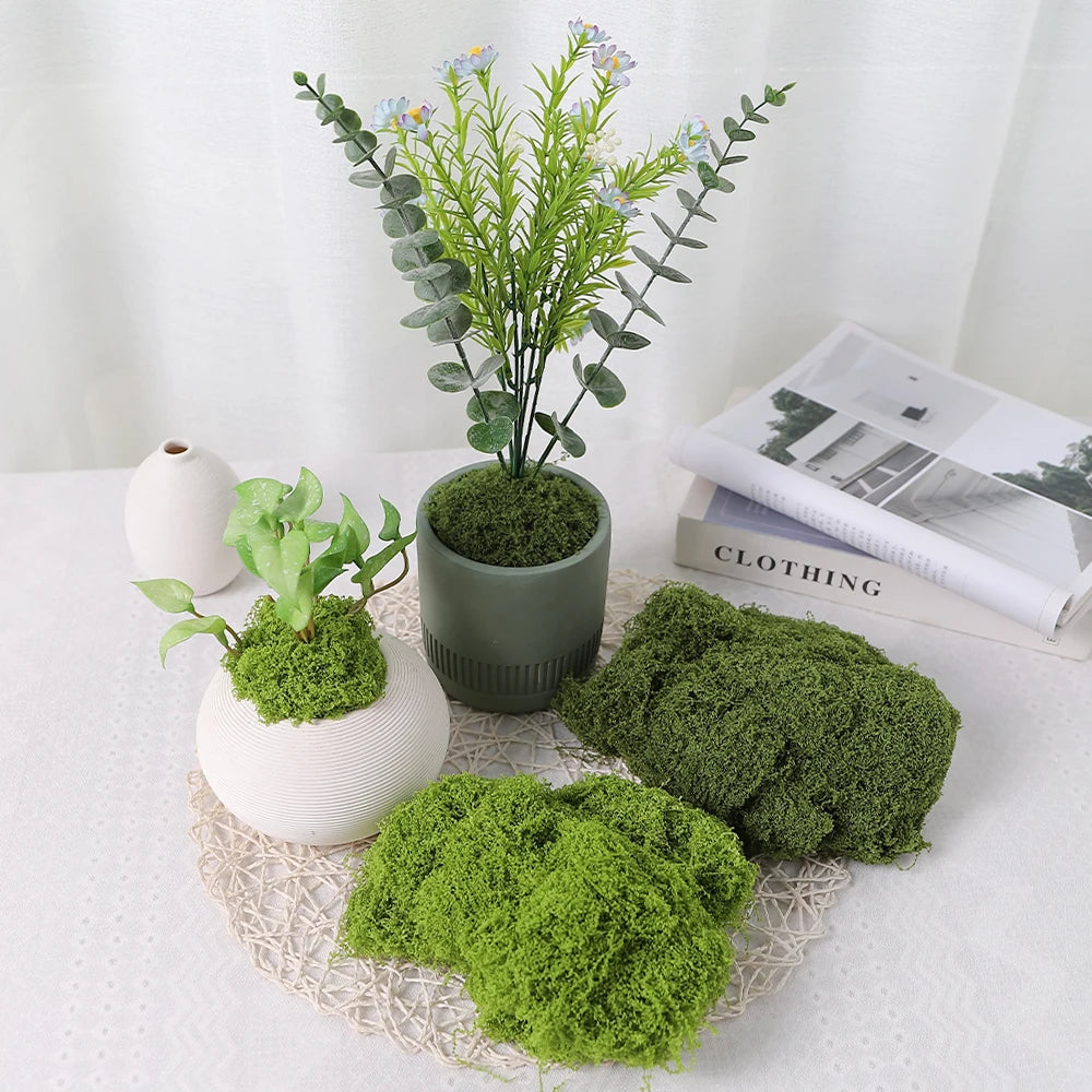30/50/100G Green Artificial Plants Moss Grass for Home Room Decor Garden Decoration Mini Landscape Fake Flower Crafts Ornament