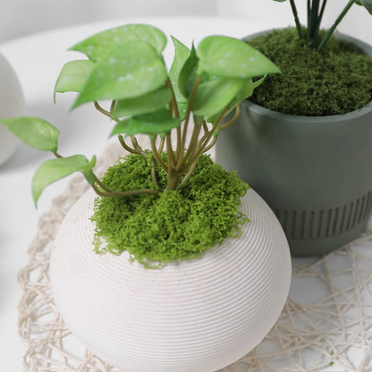 30/50/100G Green Artificial Plants Moss Grass for Home Room Decor Garden Decoration Mini Landscape Fake Flower Crafts Ornament