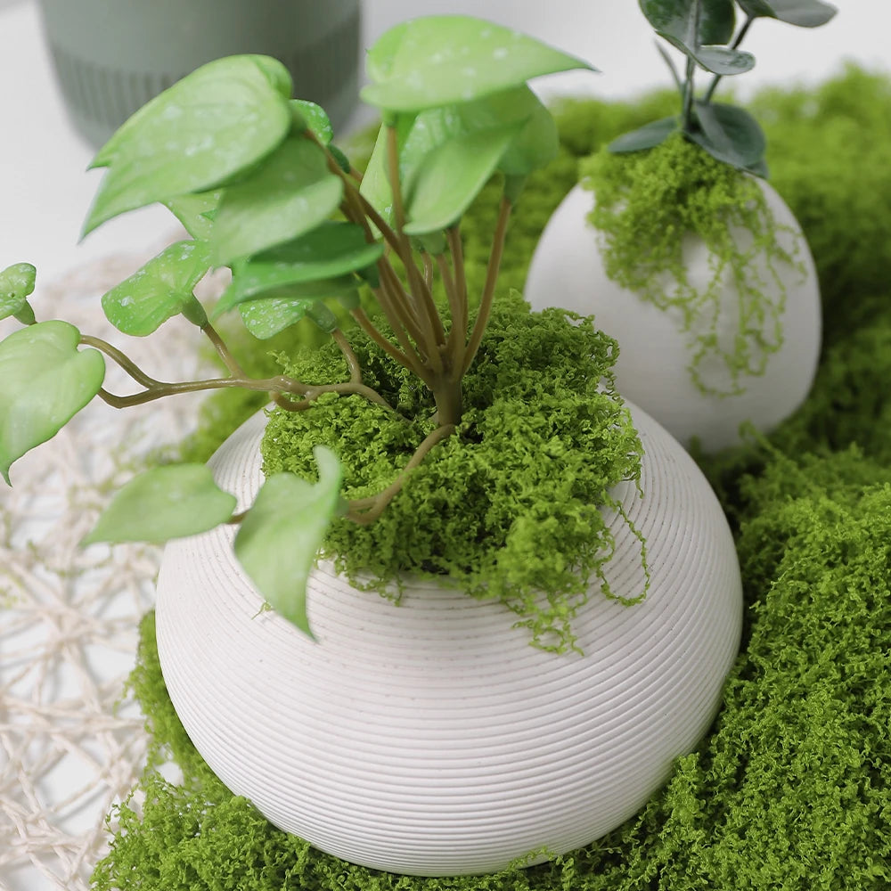 30/50/100G Green Artificial Plants Moss Grass for Home Room Decor Garden Decoration Mini Landscape Fake Flower Crafts Ornament