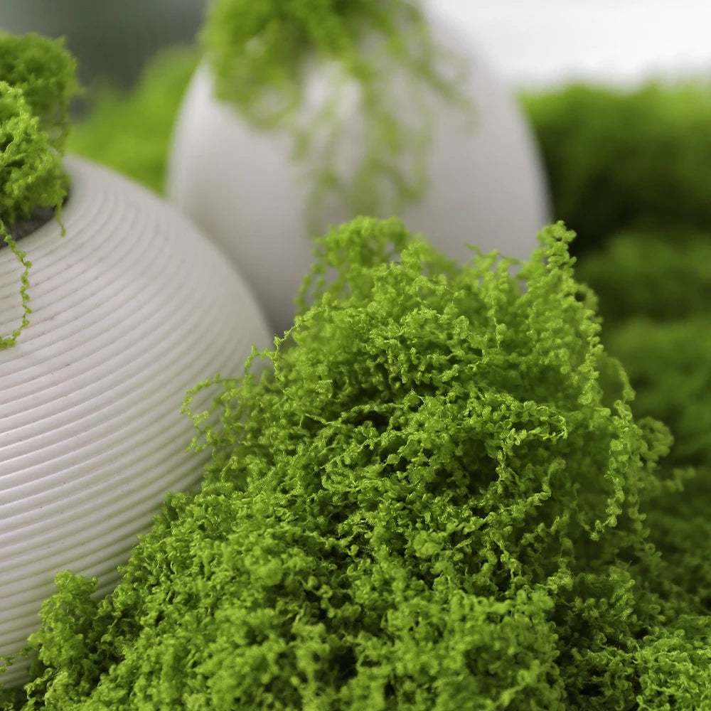 30/50/100G Green Artificial Plants Moss Grass for Home Room Decor Garden Decoration Mini Landscape Fake Flower Crafts Ornament