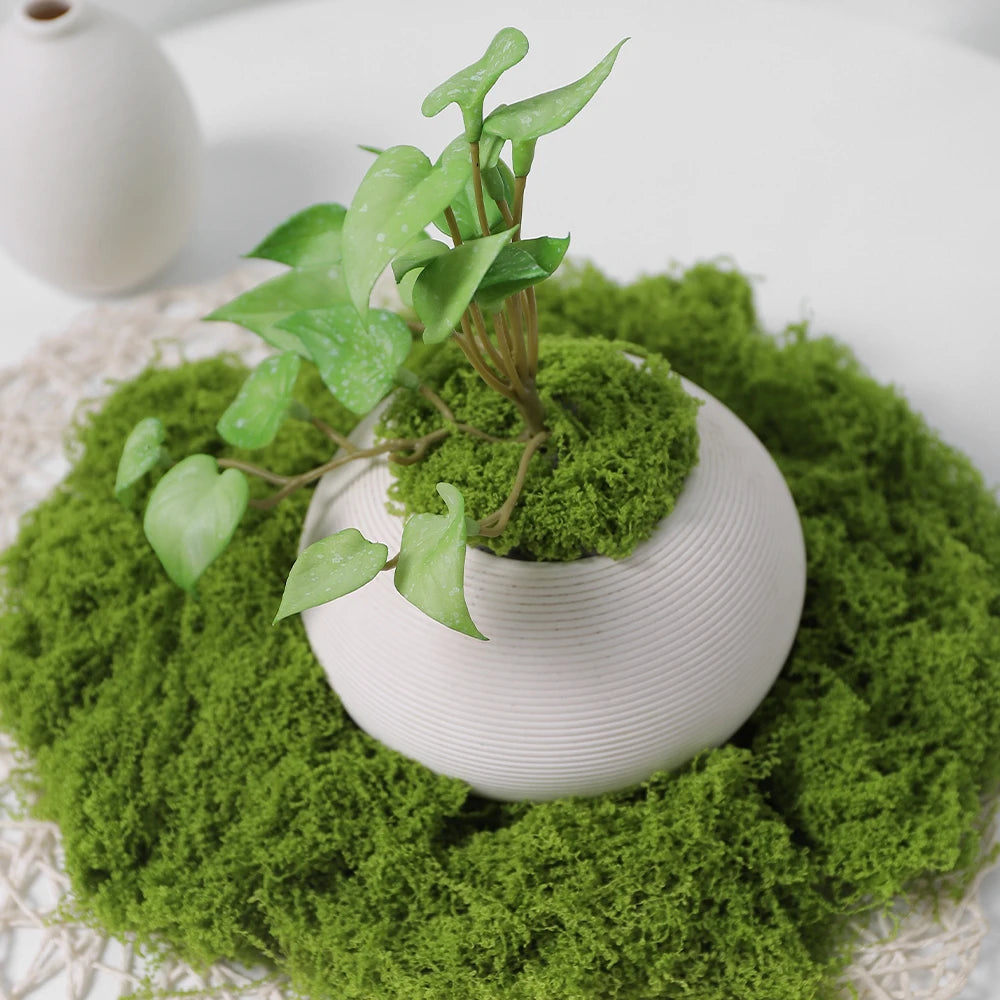 30/50/100G Green Artificial Plants Moss Grass for Home Room Decor Garden Decoration Mini Landscape Fake Flower Crafts Ornament
