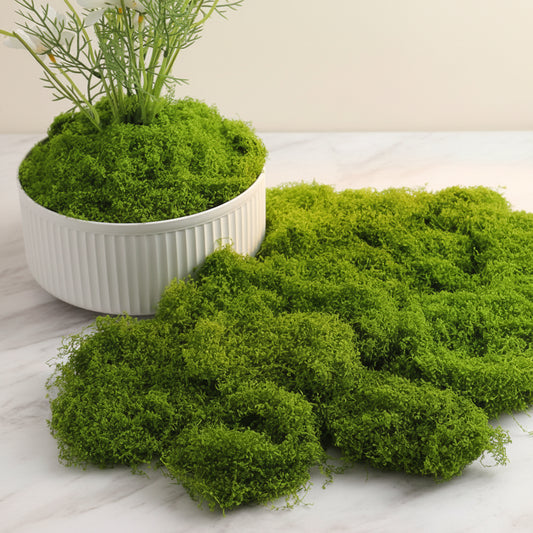 30/50/100G Green Artificial Plants Moss Grass for Home Room Decor Garden Decoration Mini Landscape Fake Flower Crafts Ornament