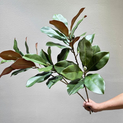 70CM Artificial Magnolia Leaves in Stock for Home Decoration White Bowls Flower Buds Leaf Shop Windows Magnolia Branches